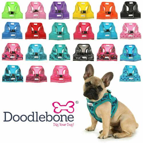 Doodlebone snappy hot sale dog harness