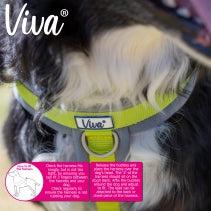 Ancol Viva Padded Harness L 52-71cm (Asst Col)-Pettitt and Boo