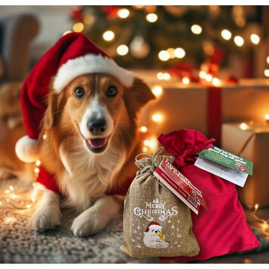 Christmas Goody Bags for Dogs!-Pettitt and Boo