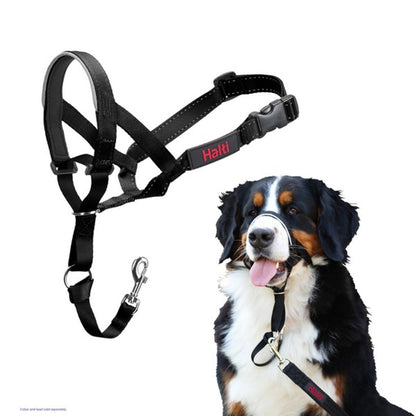 Company Of Animals Halti Head Collar - Asst Sizes-Pettitt and Boo