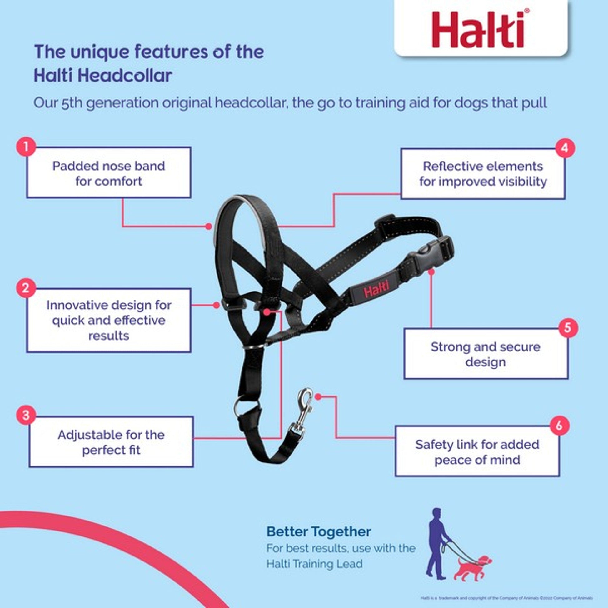 Company Of Animals Halti Head Collar - Asst Sizes-Pettitt and Boo