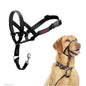 Company Of Animals Halti Head Collar - Asst Sizes-Pettitt and Boo