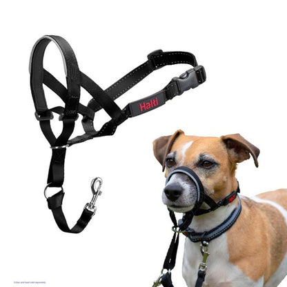 Company Of Animals Halti Head Collar - Asst Sizes-Pettitt and Boo