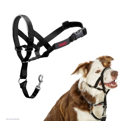 Company Of Animals Halti Head Collar - Asst Sizes-Pettitt and Boo