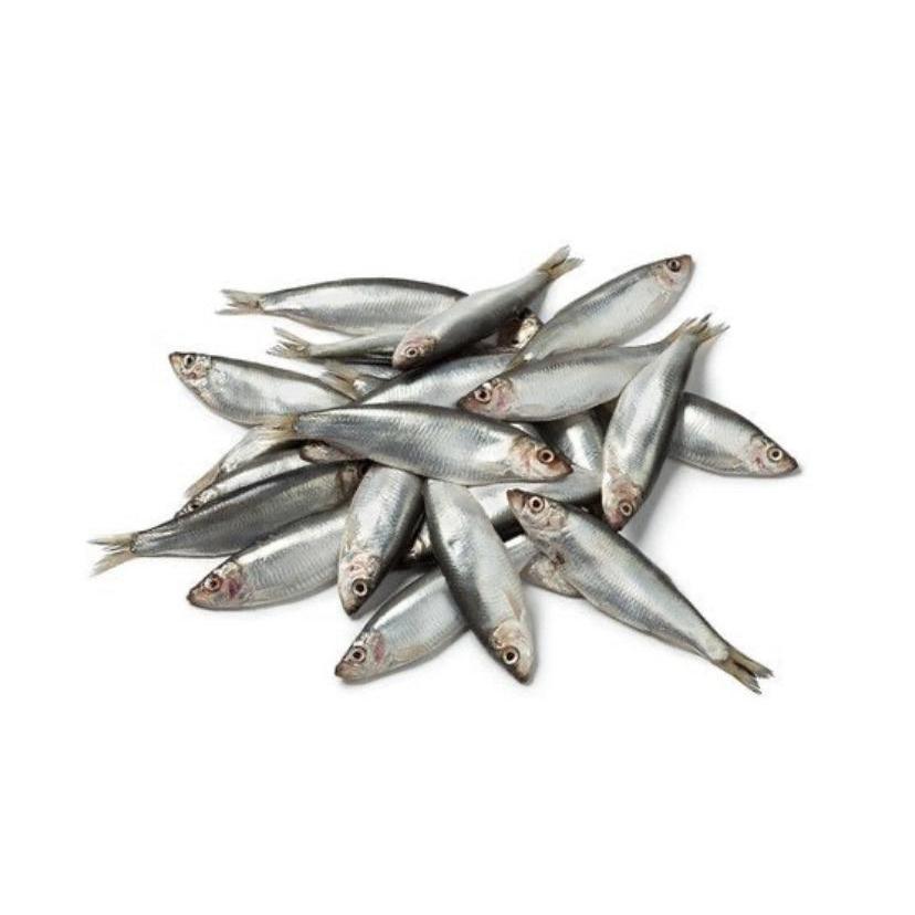 DAF Frozen Whole Sprats 1kg-Pettitt and Boo