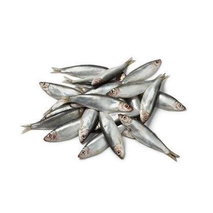 DAF Frozen Whole Sprats 1kg-Pettitt and Boo