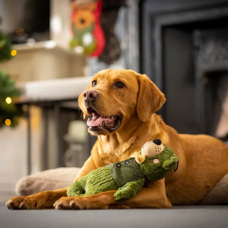 Forest Green Bear Dog Toy-Pettitt and Boo