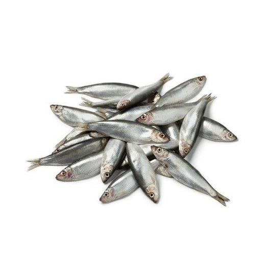 Frozen Whole Sprats 1kg-Pettitt and Boo