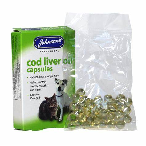 Johnsons Cod Liver Oil Capsules (40)-Pettitt and Boo