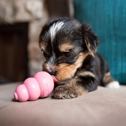 KONG Puppy Assorted-Pettitt and Boo