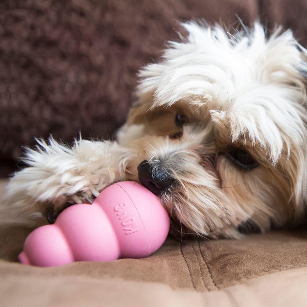 KONG Puppy Assorted-Pettitt and Boo