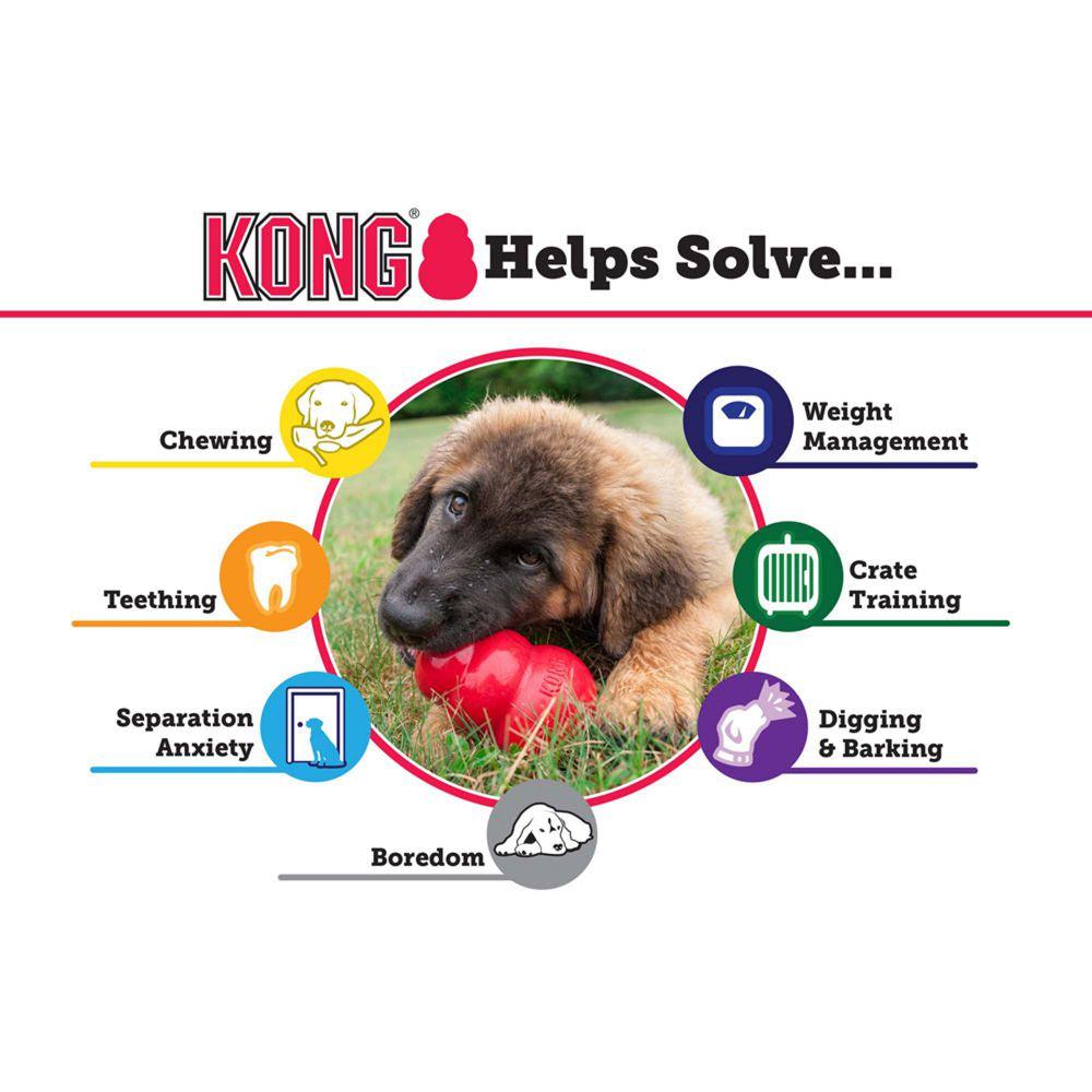 KONG Puppy Assorted-Pettitt and Boo