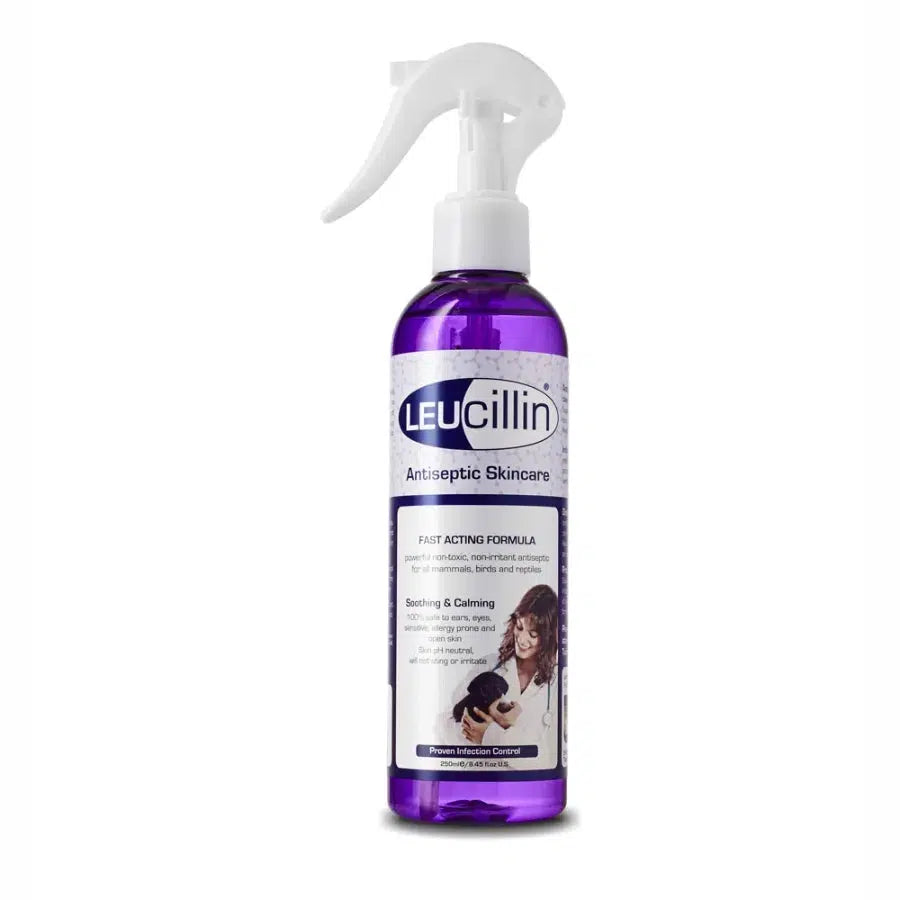 Leucillin Antibacterial Spray-Pettitt and Boo