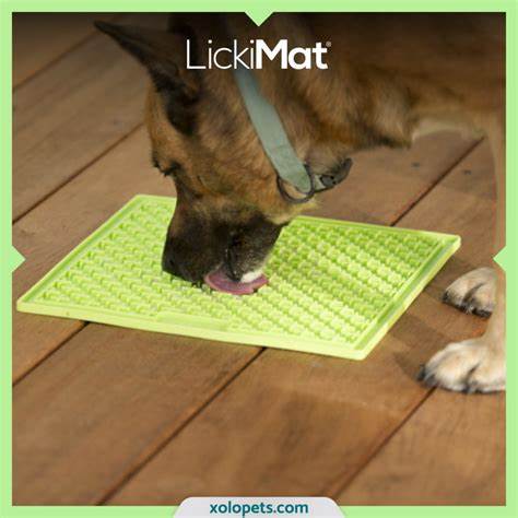 LickiMat XL Assorted-Pettitt and Boo