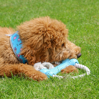 Made From Rice - Bone & Rope Toy-Pettitt and Boo