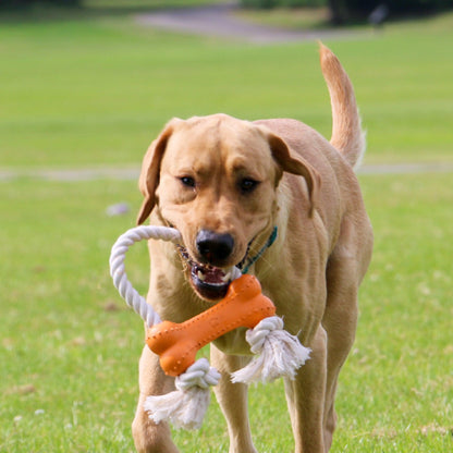 Made From Rice - Bone & Rope Toy-Pettitt and Boo