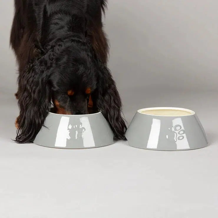 Scruffs Long Eared Dog Bowl-Pettitt and Boo