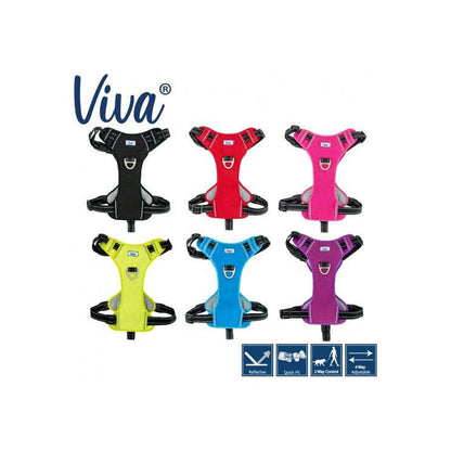 Viva Exercise & Travel Harness Asstd-Pettitt and Boo