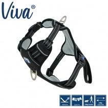 Viva Exercise & Travel Harness Asstd-Pettitt and Boo