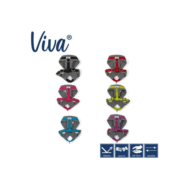 Viva Padded Harness Large 52-71cm-Pettitt and Boo