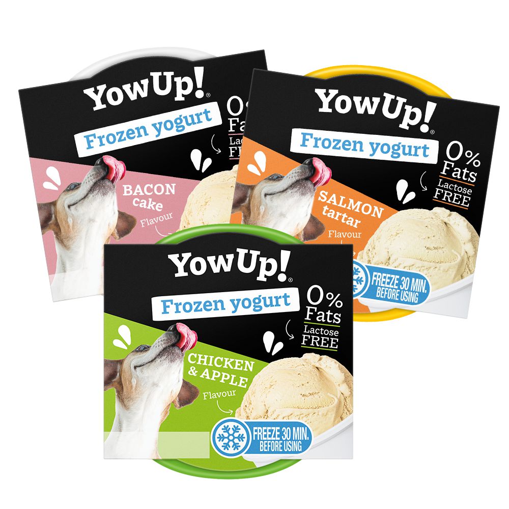 YowUp! Frozen Yogurts for Dogs & Cats-Pettitt and Boo