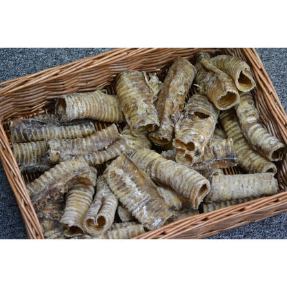 Beef Trachea 100g-Pettitt and Boo