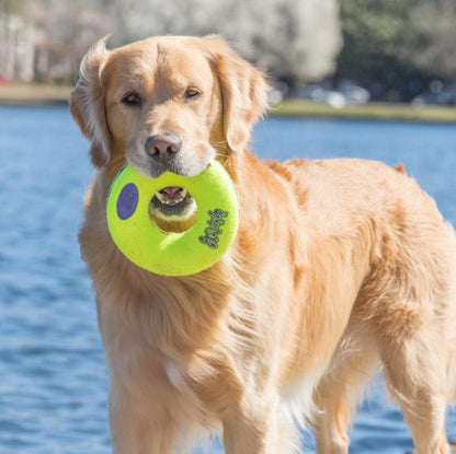 KONG Air Squeaker Donut-Pettitt and Boo