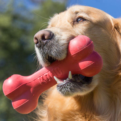 KONG Goodie Bone-Pettitt and Boo