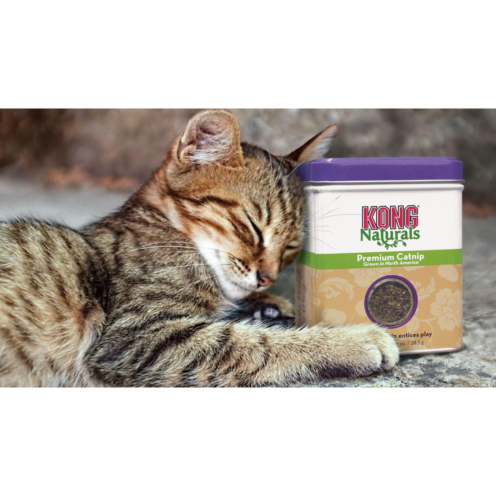 KONG Natural Premium Catnip Pettitt and Boo