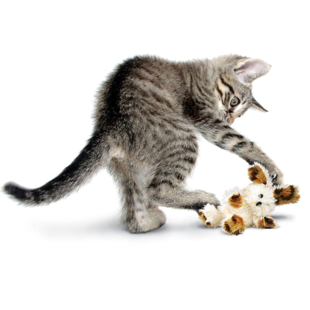 Kong kitten mice hotsell