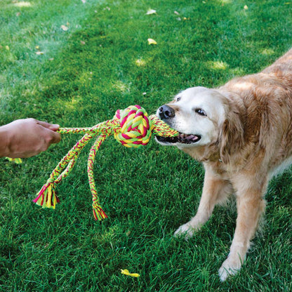 KONG Wubba Weaves with Rope-Pettitt and Boo